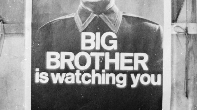 0208-big brother.jpg