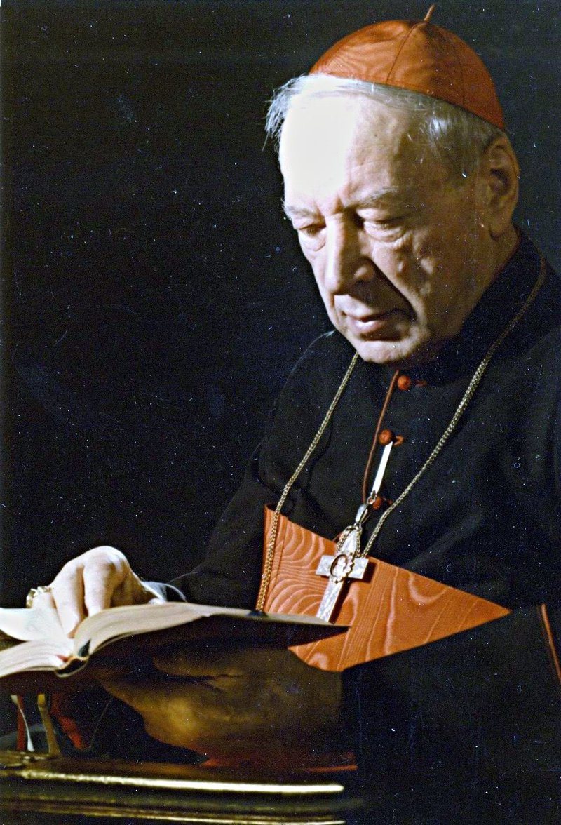 kép